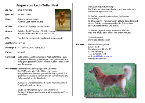 toller-ruede-daten